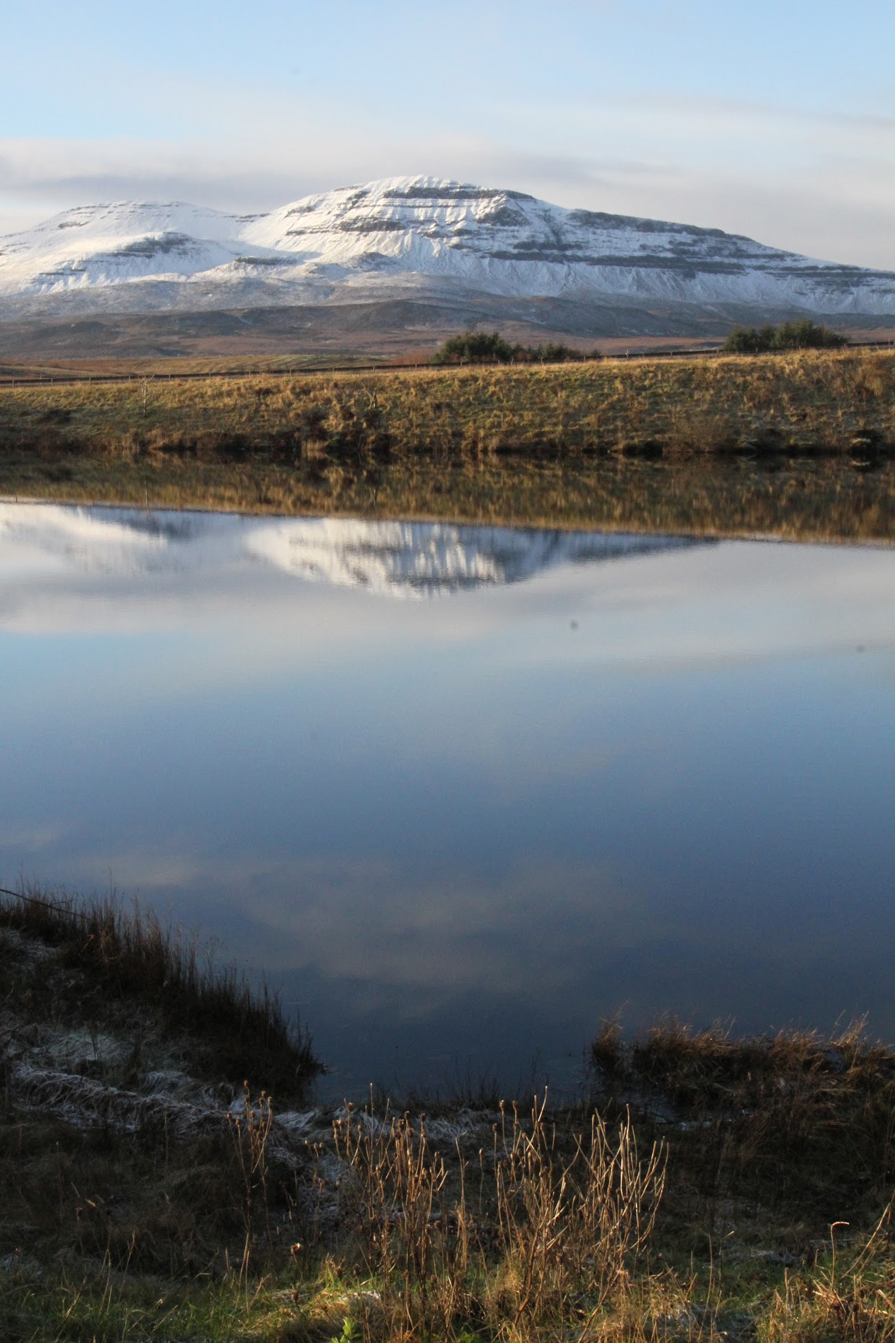 Scotland 1