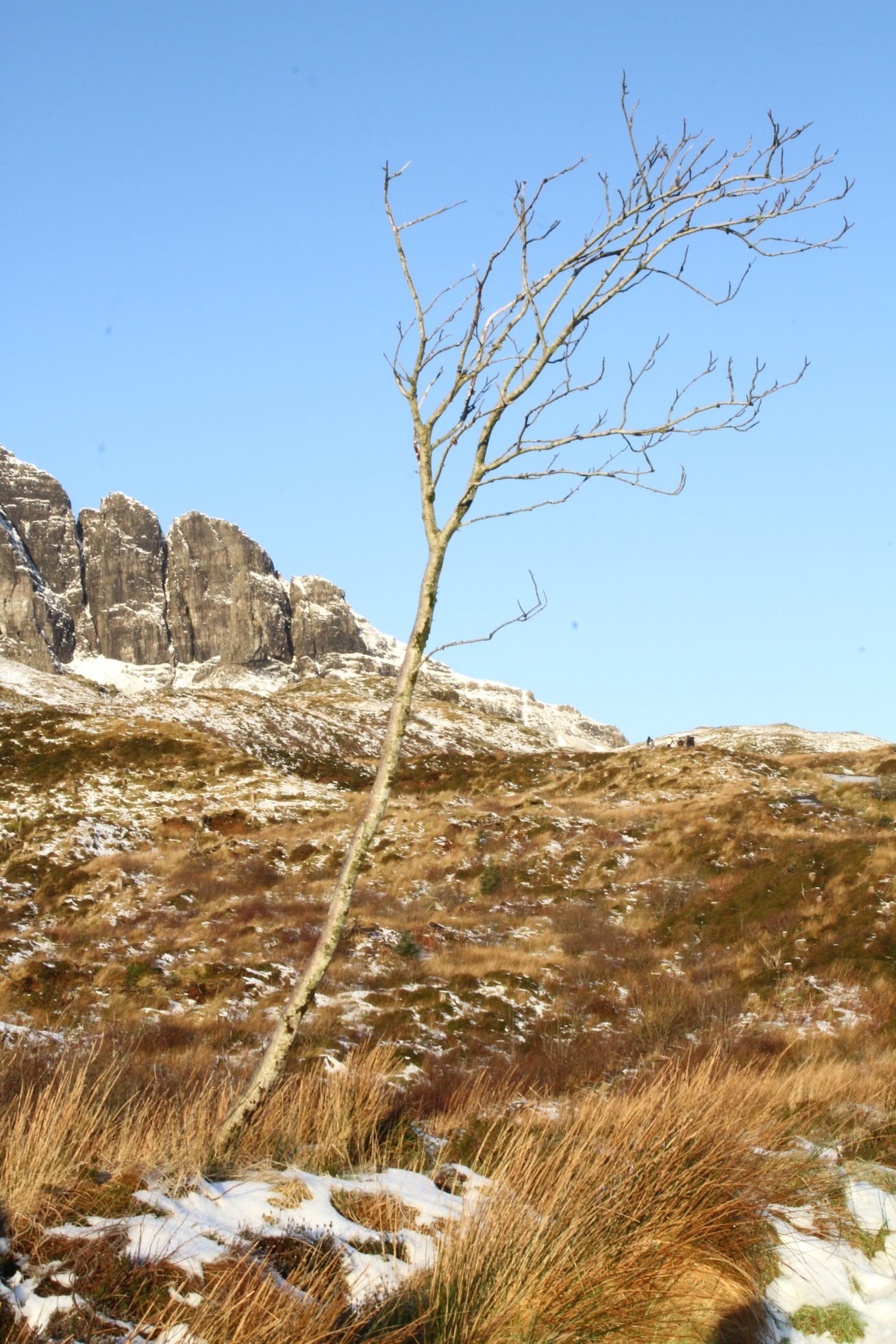 Scotland 6