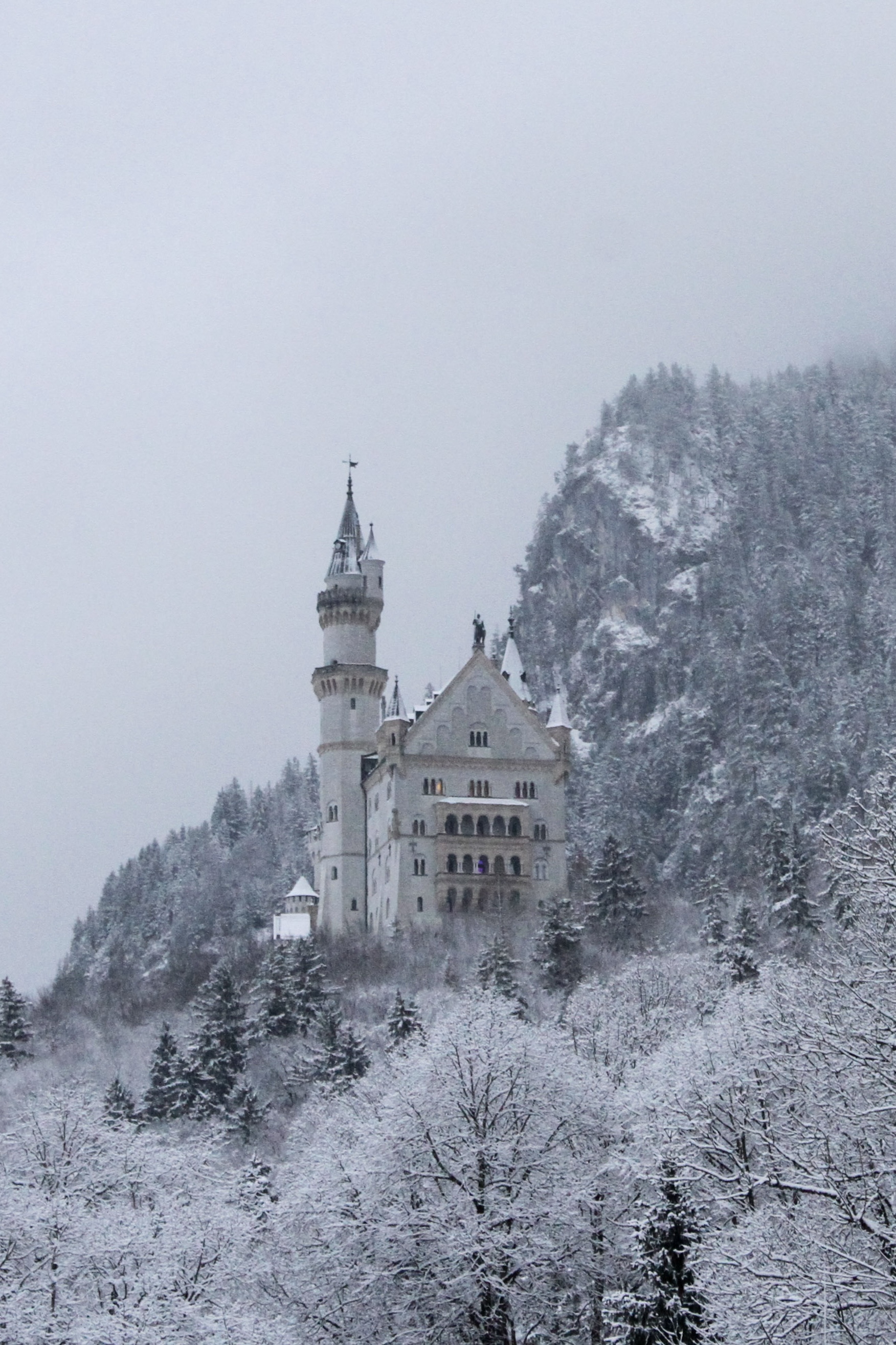 Bavaria 7